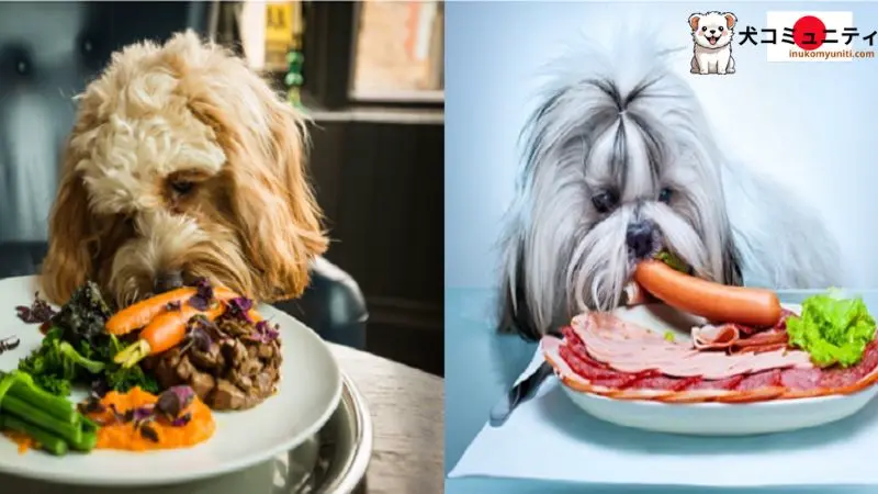 犬の消化器系に良い食べ物の画像