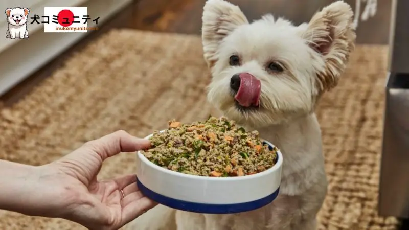 犬の消化器系に良い食べ物の画像