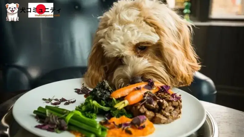  犬のための良い食品の画像