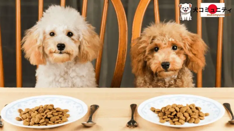  犬のための良い食品の画像